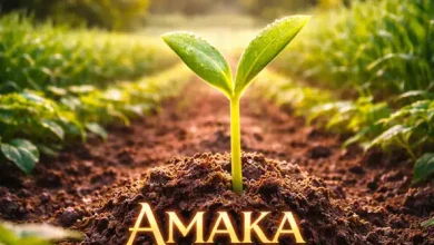 BrokenHill Emmy ft. Tiger Tonka – Amaka Mulukasu Mp3 Download